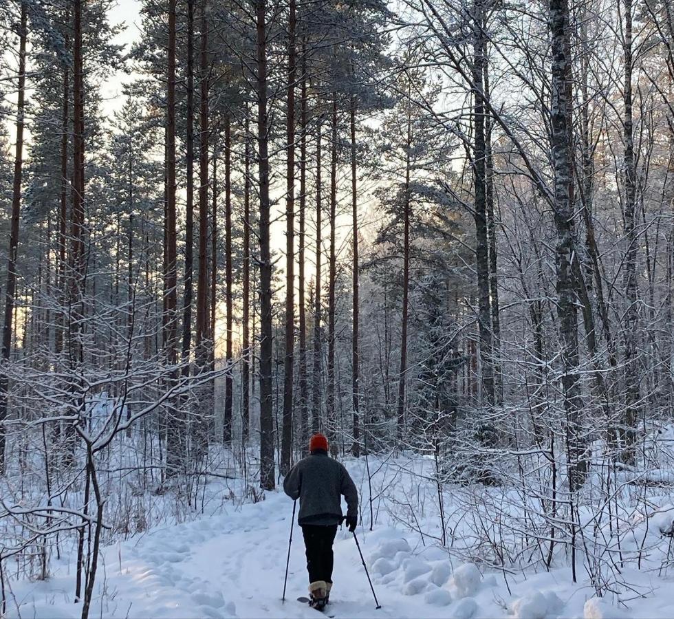 Linkkumylly Cottages Mäntyharju Екстериор снимка