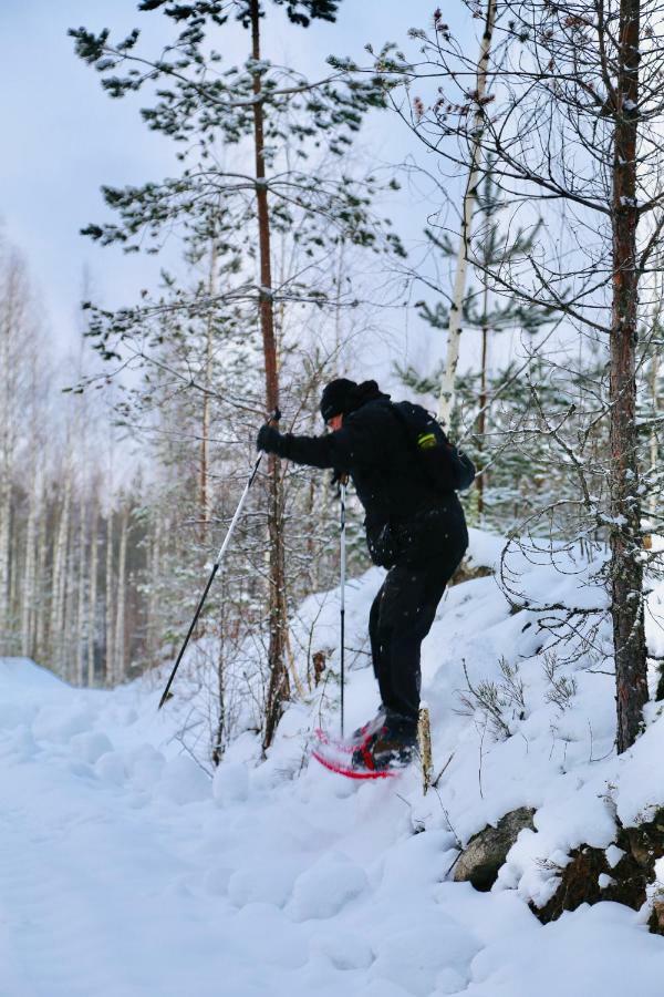 Linkkumylly Cottages Mäntyharju Екстериор снимка
